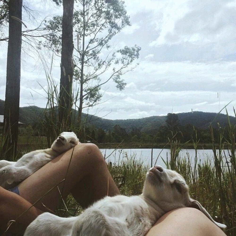 Meet your Posher, Noel